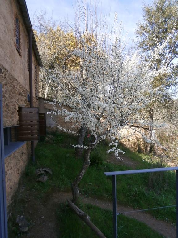 El Risco Del Lomero, Alberca 4 Huesp Max Valdelarco 외부 사진