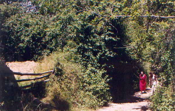 El Risco Del Lomero, Alberca 4 Huesp Max Valdelarco 외부 사진